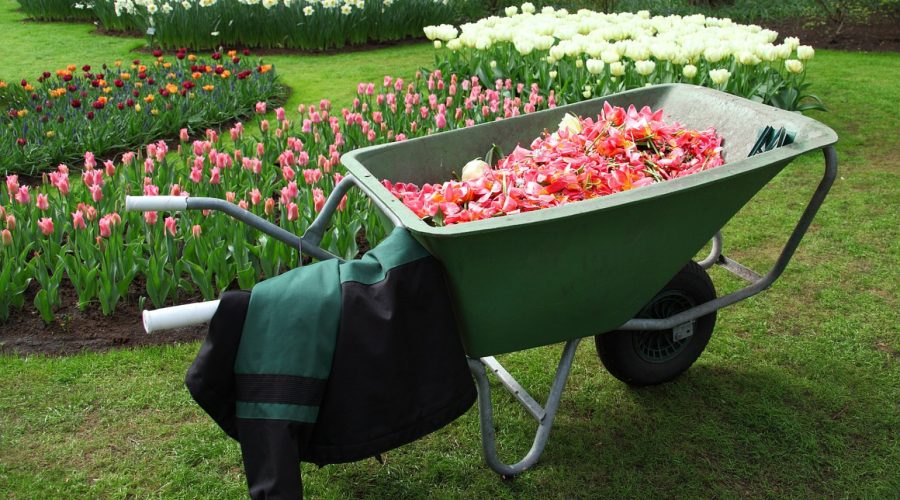 Réparation de chariot de jardin : comment choisir les bonnes roues ?